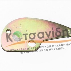 Γλώσσα Δετικού Σπάγκου 0506033