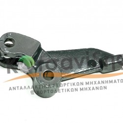 Γλώσσα Καστάνιας Δετικού 2516107