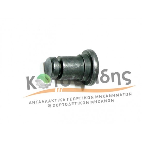 Πειράκι Λεπιδίων 4124903880
